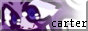 cartercoding.com